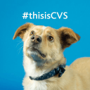 CVSG