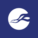 NCC