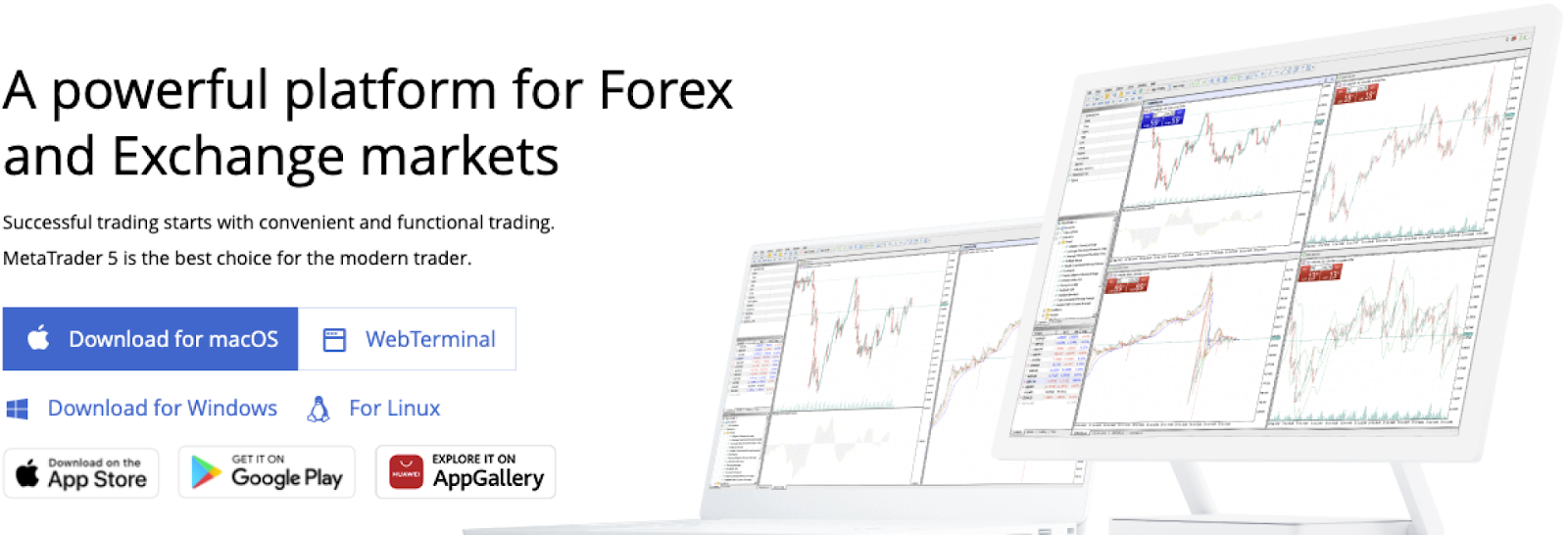 Metatrader Gainify Best Stock Charting Software Platforms